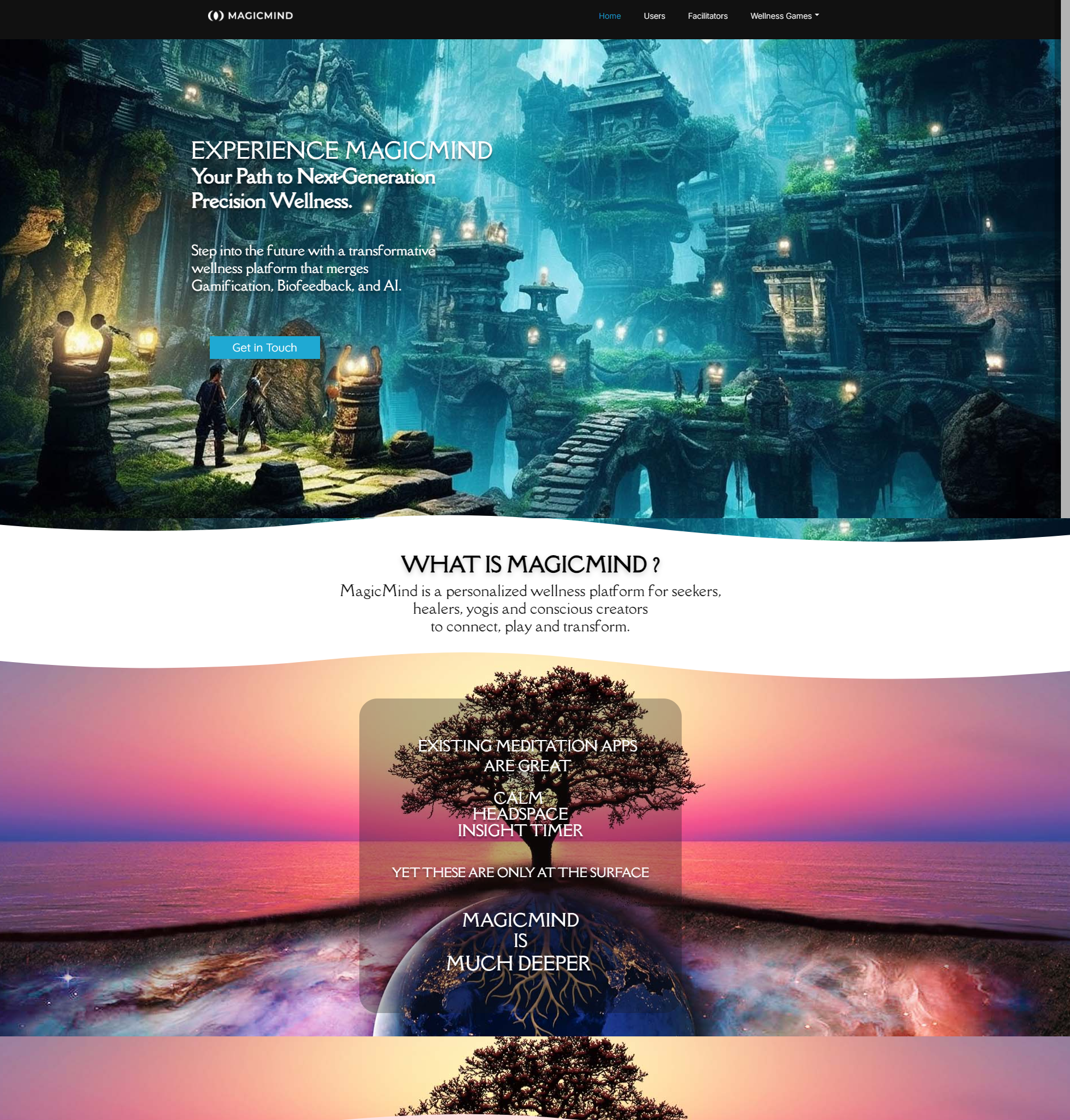 Magic Mind Company Website